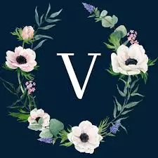 stylish v letter whatsapp dp